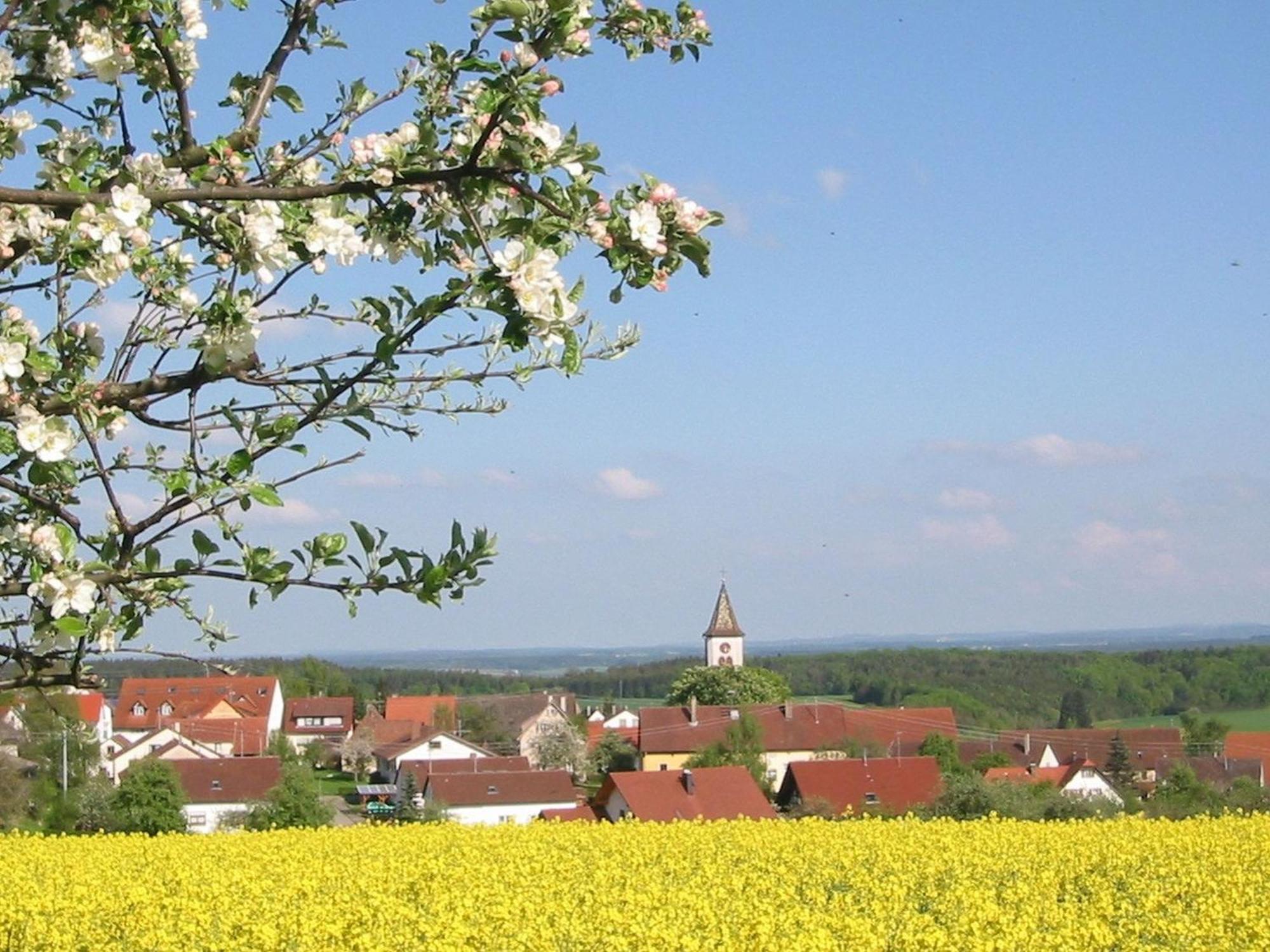 Kleine Auszeit Villa Thalheim  Ngoại thất bức ảnh